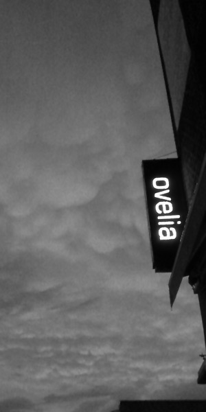ovelia-restaurant-astoria-ny